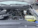 2024 Ford F-250 Crew Cab 4WD Pickup for sale #3753X - photo 41