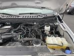 Used 2024 Ford F-250 XLT Crew Cab for sale #3759X - photo 39