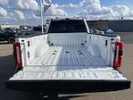 2024 Ford F-350 Crew Cab DRW 4WD Pickup for sale #3771X - photo 33