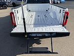 2024 Ford F-350 Crew Cab DRW 4WD Pickup for sale #3771X - photo 34
