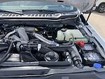 2024 Ford F-250 Crew Cab 4WD Pickup for sale #3782X - photo 41