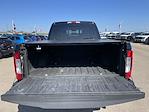 2017 Ford F-250 Crew Cab 4WD Pickup for sale #3784X - photo 33
