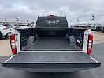 2020 Ford F-250 Crew Cab 4WD Pickup for sale #3790X - photo 33