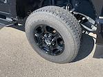 2024 Ford F-250 Crew Cab 4WD Pickup for sale #3800X - photo 4