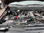 2024 Ford F-250 Crew Cab 4WD Pickup for sale #3814X - photo 42