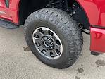 2024 Ford F-250 Crew Cab 4WD Pickup for sale #3814X - photo 3