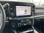2024 Ford F-250 Crew Cab 4WD Pickup for sale #3814X - photo 10