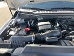 2024 Ford F-350 Crew Cab SRW 4WD Pickup for sale #3815X - photo 44