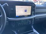 2023 Ford F-250 Crew Cab 4WD Pickup for sale #3819X - photo 10