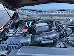 2023 Ford F-250 Crew Cab 4WD Pickup for sale #3819X - photo 41