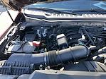 2024 Ford F-250 Crew Cab 4WD Pickup for sale #3823X - photo 43