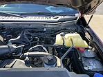 2024 Ford F-250 Crew Cab 4WD Pickup for sale #3823X - photo 44