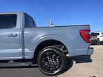 Used 2023 Ford F-150 Platinum SuperCrew Cab for sale #3884X - photo 32