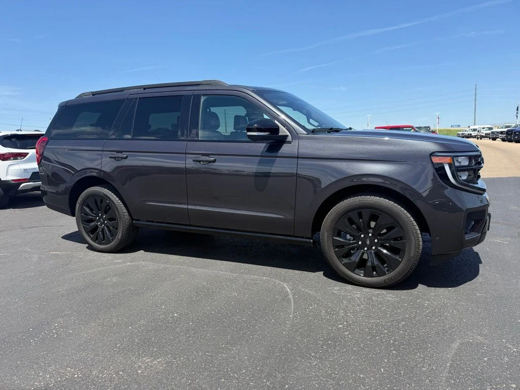 Used 2025 Ford Expedition - photo 1