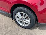 2016 Ford Edge AWD SUV for sale #4290XA - photo 3