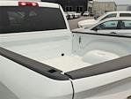 2025 Ram 2500 Crew Cab 4x4 Pickup for sale #D19206 - photo 29