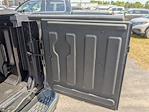 2025 Ram 1500 Crew Cab 4x4 Pickup for sale #D19322 - photo 35