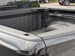 2025 Ram 1500 Crew Cab 4x4 Pickup for sale #D19342 - photo 32