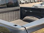 2025 Ram 1500 Crew Cab 4x4 Pickup for sale #D19350 - photo 30