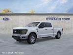 2025 Ford F-150 SuperCrew Cab 4WD Pickup for sale #D25280 - photo 1