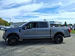 2024 Ford F-150 SuperCrew Cab 4WD Pickup for sale #D25338A - photo 6