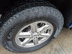 Used 2025 Ford F-150 XLT SuperCrew Cab for sale #L4793 - photo 7