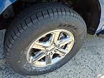 2024 Ford F-150 SuperCrew Cab 4WD Pickup for sale #L5612 - photo 8