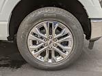 New 2024 Ford F-150 XLT SuperCrew Cab for sale #7872 - photo 15