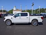 New 2024 Ford F-150 XLT SuperCrew Cab for sale #7909 - photo 18