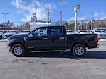 New 2025 Ford F-150 XLT SuperCrew Cab for sale #8498 - photo 18