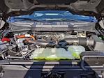 New 2025 Ford F-150 XLT SuperCrew Cab for sale #8498 - photo 39