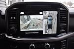 New 2025 Ford F-150 XLT SuperCrew Cab for sale #8515 - photo 8