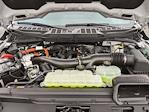 New 2025 Ford F-150 XLT SuperCrew Cab for sale #8517 - photo 39