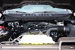 New 2025 Ford F-150 XLT SuperCrew Cab for sale #8923 - photo 39