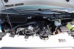 New 2025 Ford Transit 250 Low Roof Empty Cargo Van for sale #9087 - photo 35
