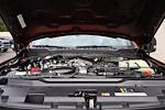 New 2026 Ford F-350 XLT Crew Cab for sale #9404 - photo 40