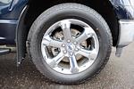 Used 2023 Ford F-150 XLT SuperCrew Cab for sale #9674A - photo 12