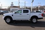 New 2026 Ford Ranger XL SuperCrew Cab for sale #9796 - photo 13