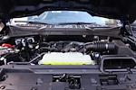 2026 Ford F-150 Regular Cab 4WD Pickup for sale #9841 - photo 30