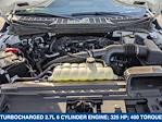 2024 Ford F-150 SuperCrew Cab 4x2 Pickup for sale #244567 - photo 21