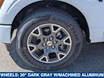 2024 Ford F-150 SuperCrew Cab 4x2 Pickup for sale #244617 - photo 9