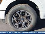 2024 Ford F-150 SuperCrew Cab 4x2 Pickup for sale #244653 - photo 9