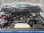 2024 Ford F-150 SuperCrew Cab 4x2 Pickup for sale #244712 - photo 21