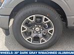 2024 Ford F-150 SuperCrew Cab 4x2 Pickup for sale #245088 - photo 8