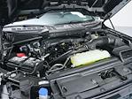 2025 Ford F-150 SuperCrew Cab 4x2 Pickup for sale #250847 - photo 27