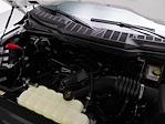 2025 Ford F-150 SuperCrew Cab 4x4 Pickup for sale #251550 - photo 12
