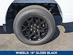2025 Ford F-150 SuperCrew Cab 4x2 Pickup for sale #251951 - photo 9