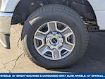 New 2025 Ford F-350 Regular Cab for sale #252635 - photo 8
