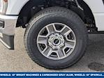 2025 Ford F-350 Regular Cab SRW 4x4 Pickup for sale #252651 - photo 8