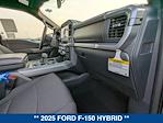 New 2025 Ford F-150 XLT SuperCrew Cab 4x4 Pickup for sale #252899 - photo 19